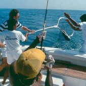 Le Royal Meridien Beach Resort and Spa offers Fishing packages