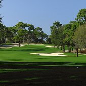 Innisbrook Golf Resort offers PGA Tournaments - Stay and Play Packages packages