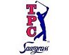 Sawgrass TPC - Dye`s Valley