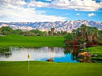 Desert Willow Mountain View