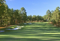 Pinehurst No. 7