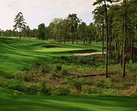 Pinehurst No. 8