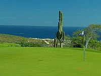 Puerto Los Cabos GC