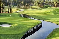 Sawgrass TPC - Dye`s Valley