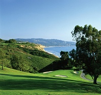 Torrey Pines - South