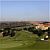 Campo Real Golf Course