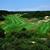 Le Touquet Golf