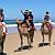 Camel Riding on the Beach